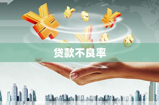 洞口贷款不良率