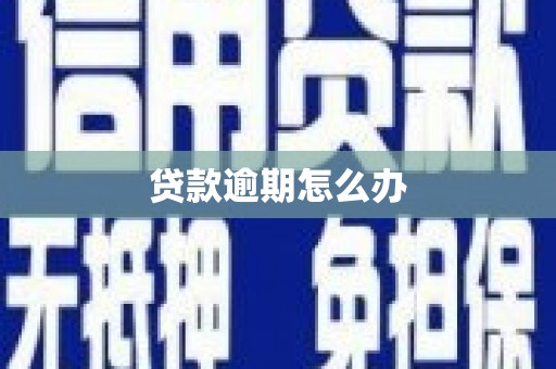 洞口贷款逾期怎么办