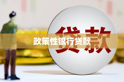 洞口政策性银行贷款