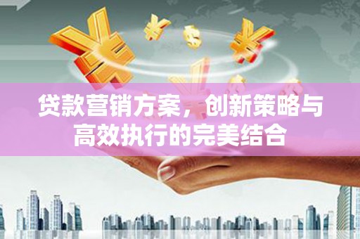 洞口贷款营销方案，创新策略与高效执行的完美结合