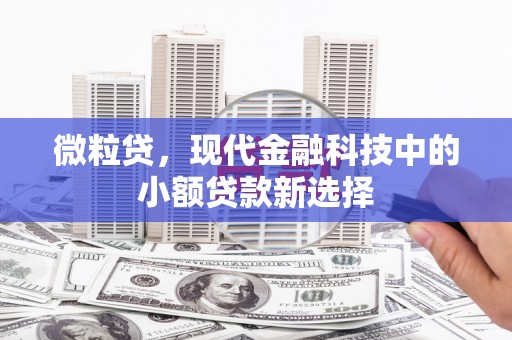 洞口微粒贷，现代金融科技中的小额贷款新选择
