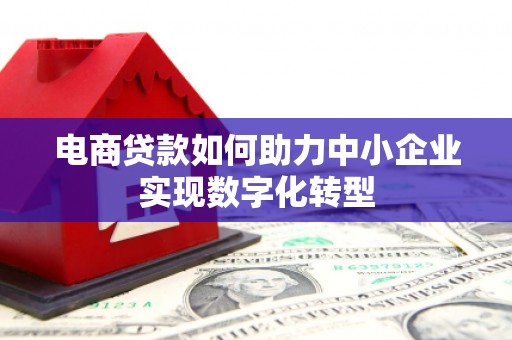 洞口电商贷款如何助力中小企业实现数字化转型
