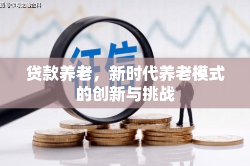 洞口贷款养老，新时代养老模式的创新与挑战