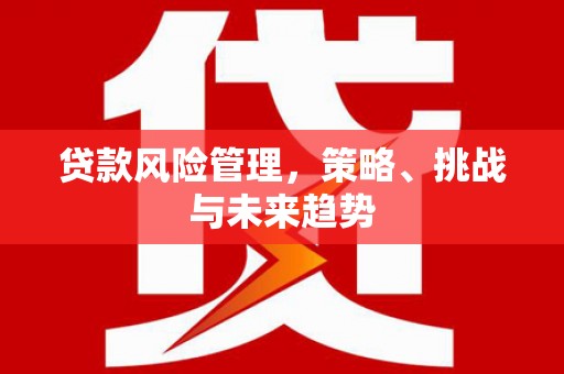 洞口贷款风险管理，策略、挑战与未来趋势