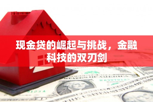 洞口现金贷的崛起与挑战，金融科技的双刃剑