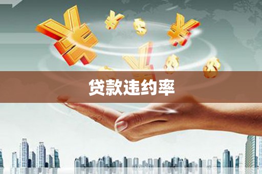 洞口贷款违约率