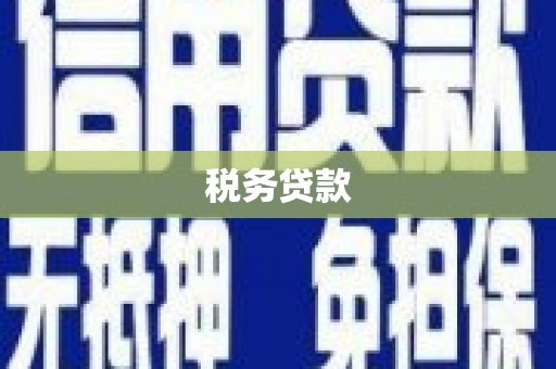 洞口税务贷款