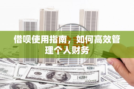 洞口借呗使用指南，如何高效管理个人财务