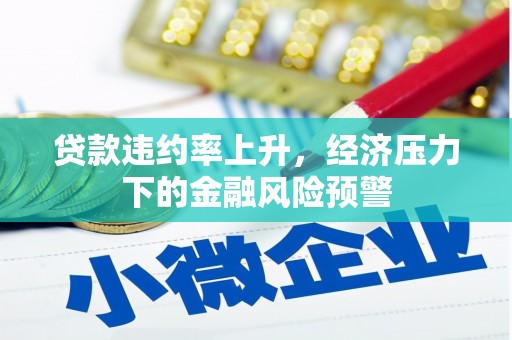 洞口贷款违约率上升，经济压力下的金融风险预警