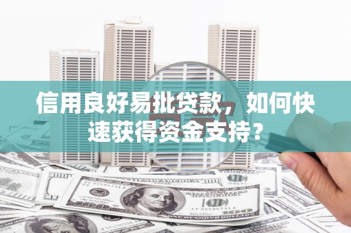 洞口信用良好易批贷款，如何快速获得资金支持？