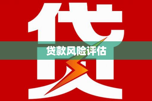 洞口贷款风险评估