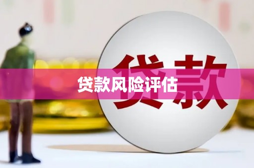 洞口贷款风险评估