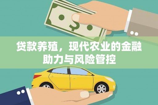 洞口贷款养殖，现代农业的金融助力与风险管控