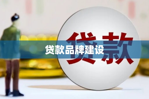 洞口贷款品牌建设