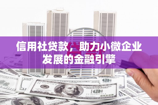 洞口信用社贷款，助力小微企业发展的金融引擎