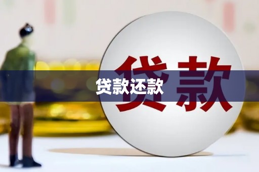 洞口贷款还款