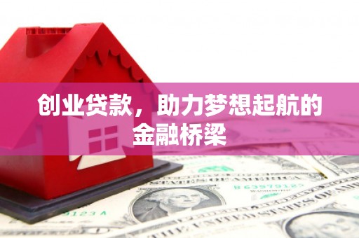 洞口创业贷款，助力梦想起航的金融桥梁
