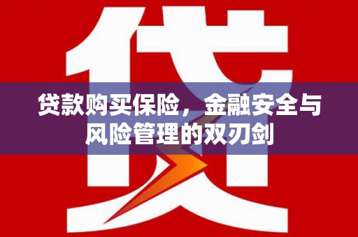 洞口贷款购买保险，金融安全与风险管理的双刃剑