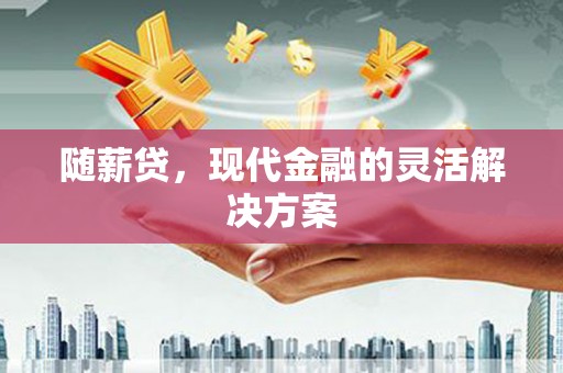 洞口随薪贷，现代金融的灵活解决方案