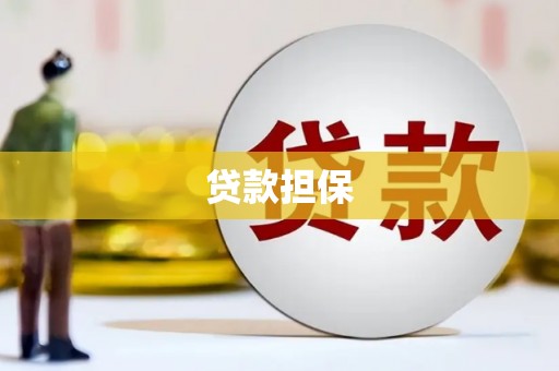 洞口贷款担保