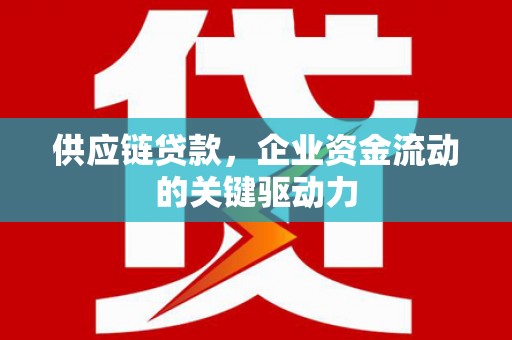 洞口供应链贷款，企业资金流动的关键驱动力