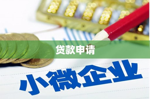 洞口贷款申请