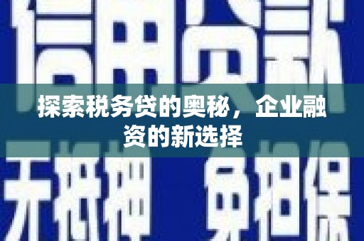 洞口探索税务贷的奥秘，企业融资的新选择