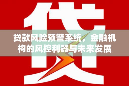 洞口贷款风险预警系统，金融机构的风控利器与未来发展