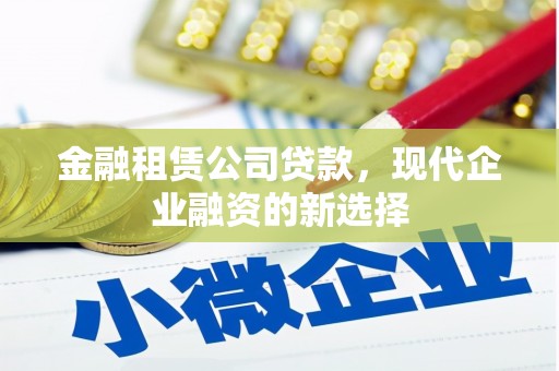 洞口金融租赁公司贷款，现代企业融资的新选择