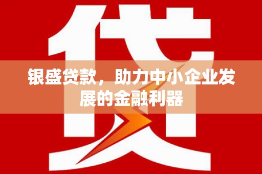 洞口银盛贷款，助力中小企业发展的金融利器