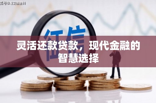 洞口灵活还款贷款，现代金融的智慧选择