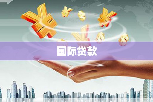洞口国际贷款