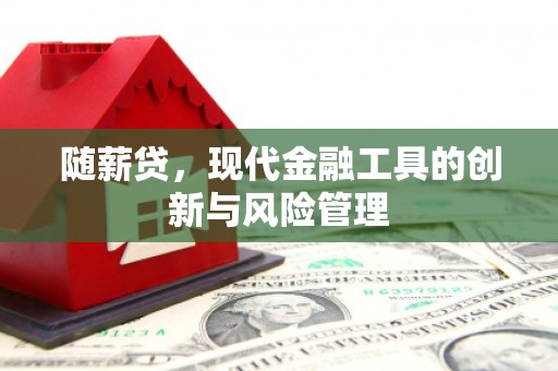 洞口随薪贷，现代金融工具的创新与风险管理