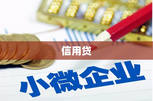 洞口信用贷