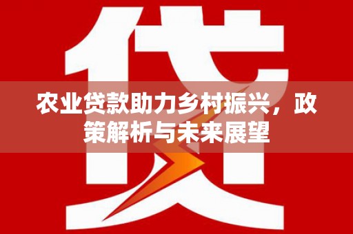 洞口农业贷款助力乡村振兴，政策解析与未来展望