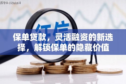 洞口保单贷款，灵活融资的新选择，解锁保单的隐藏价值