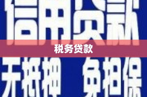 洞口税务贷款