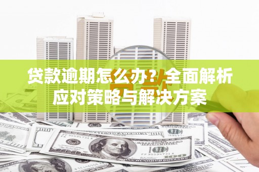 洞口贷款逾期怎么办？全面解析应对策略与解决方案