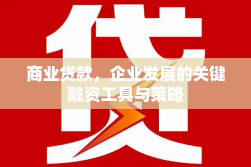 洞口商业贷款，企业发展的关键融资工具与策略