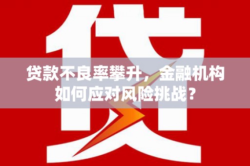 洞口贷款不良率攀升，金融机构如何应对风险挑战？