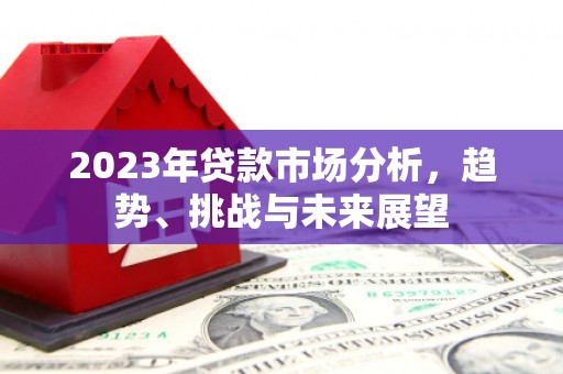 洞口2023年贷款市场分析，趋势、挑战与未来展望