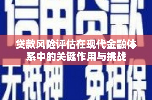 洞口贷款风险评估在现代金融体系中的关键作用与挑战
