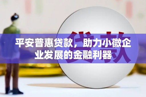 洞口平安普惠贷款，助力小微企业发展的金融利器