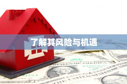 洞口了解其风险与机遇