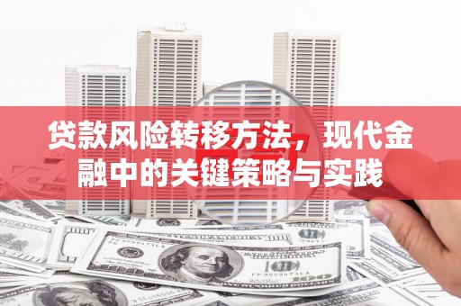 洞口贷款风险转移方法，现代金融中的关键策略与实践