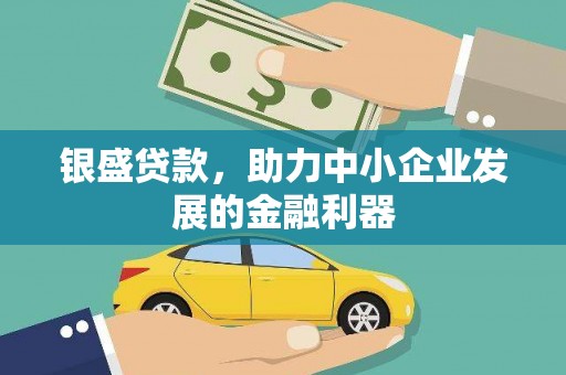 洞口银盛贷款，助力中小企业发展的金融利器