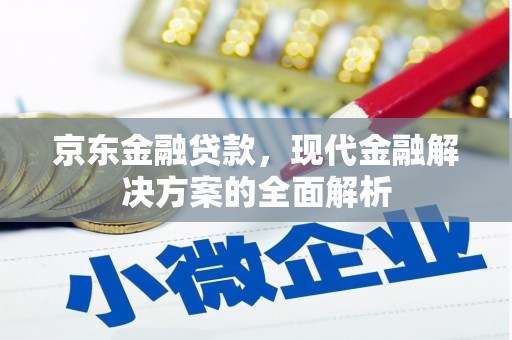 洞口京东金融贷款，现代金融解决方案的全面解析