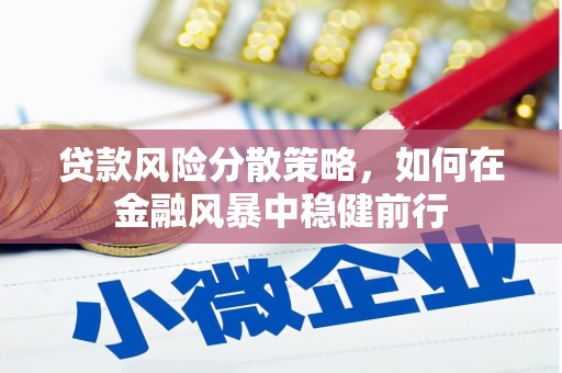 洞口贷款风险分散策略，如何在金融风暴中稳健前行