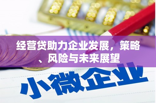 洞口经营贷助力企业发展，策略、风险与未来展望