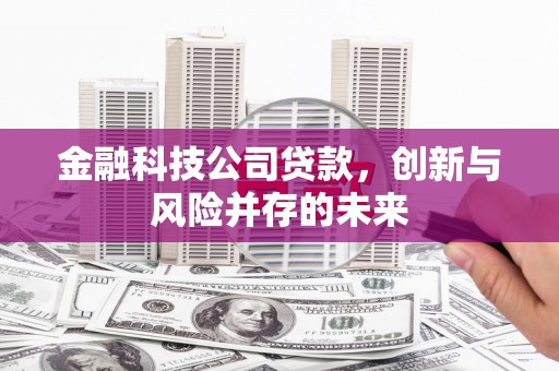 洞口金融科技公司贷款，创新与风险并存的未来